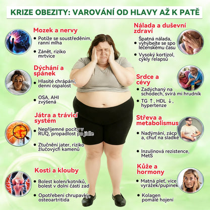𝐎𝐟𝐢𝐜𝐢á𝐥𝐧í č𝐞𝐬𝐤ý 𝐨𝐛𝐜𝐡𝐨𝐝  | 🌸🌸𝐆𝐚𝐟𝐚𝐜𝐞®𝐁𝐄𝐑𝐁𝐄𝐑𝐈𝐍𝐄 𝐗 𝐍𝐀𝐃+𝟏𝟎-𝐕-𝟏 𝐏𝐎𝐊𝐑𝐎Č𝐈𝐋Á 𝐑𝐄𝐂𝐄𝐏𝐓𝐔𝐑𝐀 𝐏𝐨𝐤𝐫𝐨č𝐢𝐥á 𝐍𝐚𝐧𝐨 𝐌𝐢𝐤𝐫𝐨𝐣𝐞𝐡𝐥𝐢č𝐤𝐨𝐯á 𝐍á𝐩𝐥𝐚𝐬𝐭